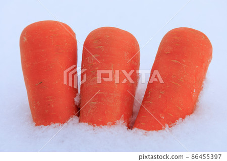 雪下蔬菜,雪中保存,胡蘿蔔形象 雪下蔬菜,雪中保存,胡蘿蔔形象 86455397