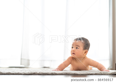 Naked baby (6 months) 86456917
