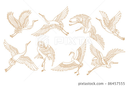 用於日本圖案的 8 只起重機線條藝術無背景 86457555