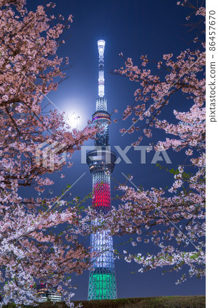 "Tokyo" Tokyo Sky Tree and Sumida Park Night Cherry Blossom Spring 86457670