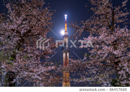 "Tokyo" Tokyo Sky Tree and Sumida Park Night Cherry Blossom Spring 86457680