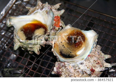 A delicious photo of a large turban shell roasted in a pot on a gridiron. 86457921