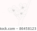 Sakura 3 wheels Yoshino cherry tree pen drawing simple 86458123