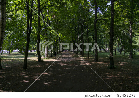 Shady alley in Petrovsky park in Kronstadt, St. Petersburg Shady alley in Petrovsky park in Kronstadt, St. Petersburg 86458275