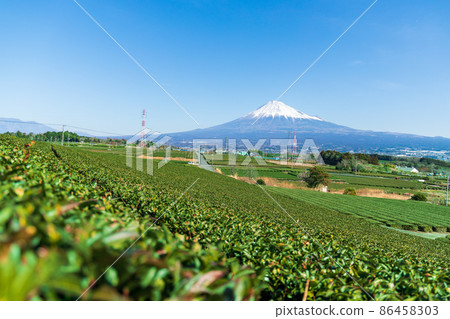 “靜岡縣”富士山和茶園 “靜岡縣”富士山和茶園 86458303