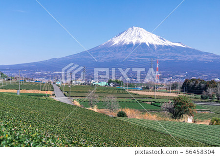 “靜岡縣”富士山和茶園 “靜岡縣”富士山和茶園 86458304