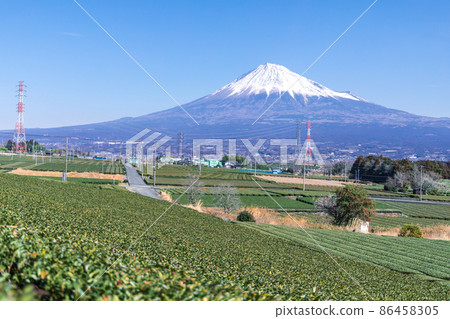 "Shizuoka Prefecture" Mt. Fuji and tea plantations 86458305