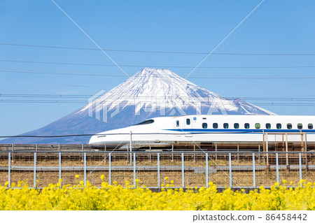 "Shizuoka Prefecture" Mt. Fuji and the Shinkansen overlooking the rape field "Shizuoka Prefecture" Mt. Fuji and the Shinkansen overlooking the rape field 86458442