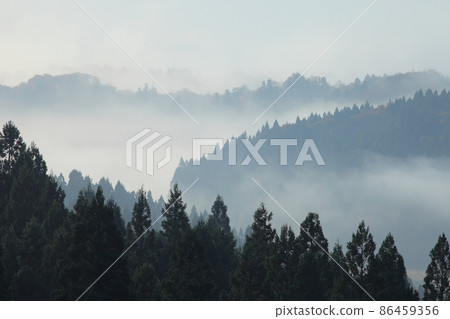 Autumn Satoyama Satoyama Asagiri Fog Forest 86459356
