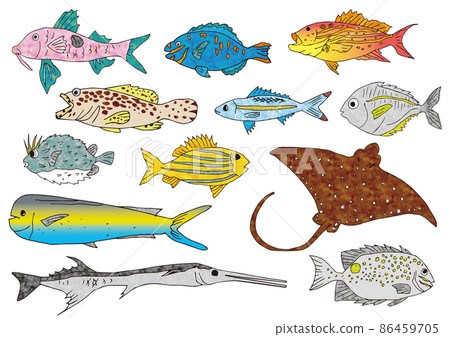 2022. 魚圖 2 2022. 魚圖 2 86459705