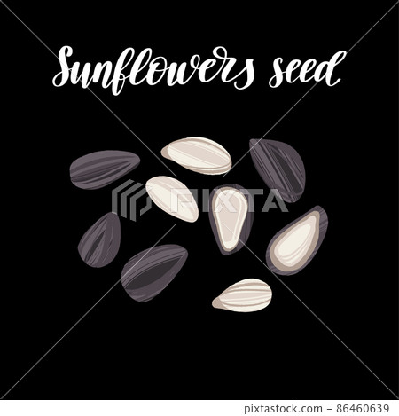 Healthy nutrition product. Sunflower seeds, shelled and peeled. Healthy nutrition product. Sunflower seeds, shelled and peeled. 86460639