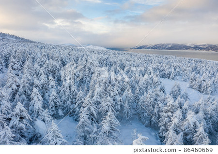 Scenic winter landscape. Beautiful aerial view of a snowy forest and a sea bay. 86460669