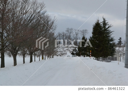 Snow-removed road in the suburbs of Hirosaki in the middle of winter 86461322