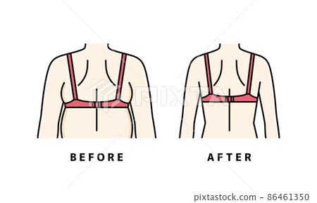 飲食後視圖側面的哈密肉 飲食後視圖側面的哈密肉 86461350