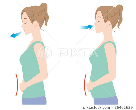 Female with abdominal breathing - Stock Illustration [86461629] - PIXTA