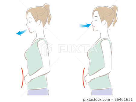 Female with abdominal breathing - Stock Illustration [86461631] - PIXTA