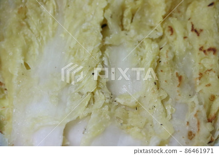 所有菜餚 86461971