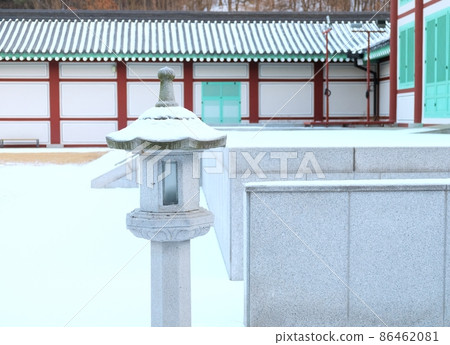 在雪峰公園遊覽期間拍攝 在雪峰公園遊覽期間拍攝 86462081