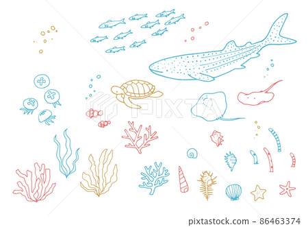 可愛的手繪海洋生物水族館裝飾插圖集 86463374