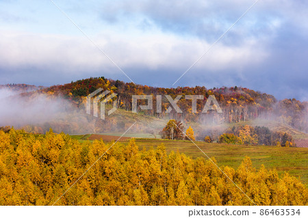 Biei, Hokkaido, scenery of dawn ・ October, Japan 86463534