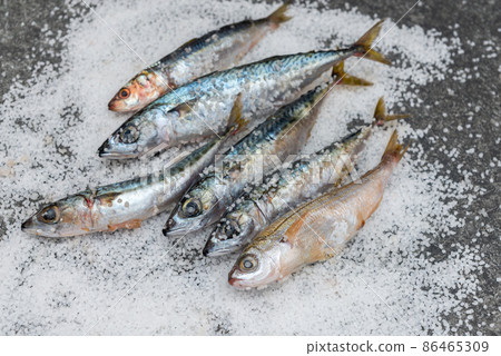 Whole raw organic mackerel fish with sea salt lying on a flat surface 86465309