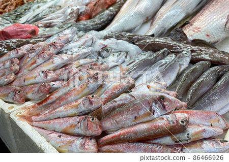Fresh fish and seafood at fish market stall. Variety of fresh seafood Fresh fish and seafood at fish market stall. Variety of fresh seafood 86466926