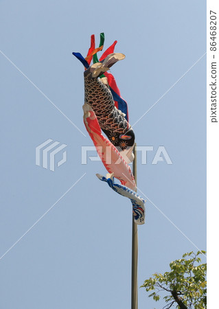 Carp streamer swimming in the blue sky Carp streamer swimming in the blue sky 86468207