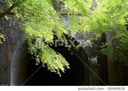 Blue maple Aigi tunnel group Blue maple Aigi tunnel group 86468626