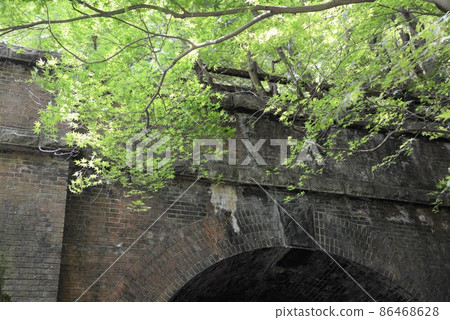 Blue maple Aigi tunnel group Blue maple Aigi tunnel group 86468628