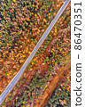Road through beautiful autumn forest 86470351