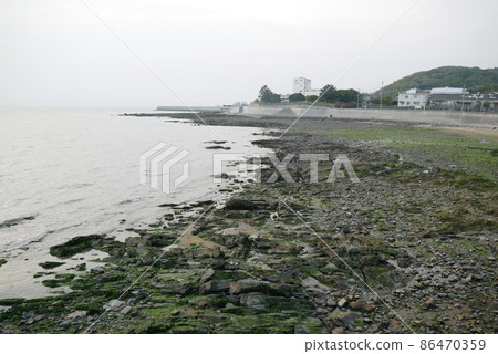 海灘和長滿苔蘚的石頭 海灘和長滿苔蘚的石頭 86470359
