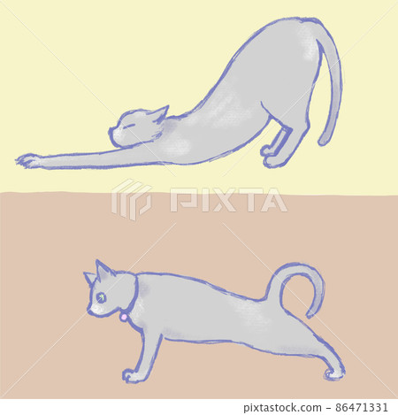 Free Vectors  Serval Cat Pose Collection