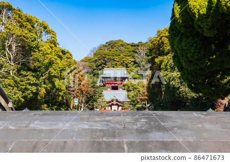鎌倉鶴岡八幡宮 鎌倉鶴岡八幡宮 86471673
