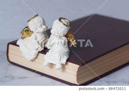 書上的兩個天使 書上的兩個天使 86472011
