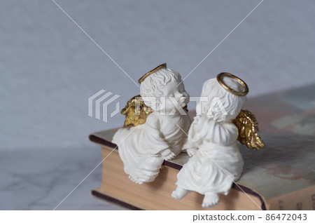 Two angels on the book Two angels on the book 86472043