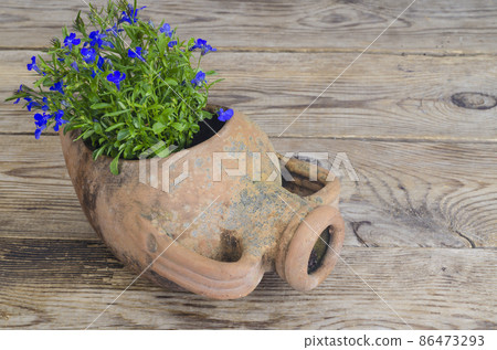 Old clay amphora vase with blue flowers Old clay amphora vase with blue flowers 86473293