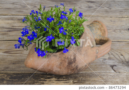 Old clay amphora vase with blue flowers 86473294