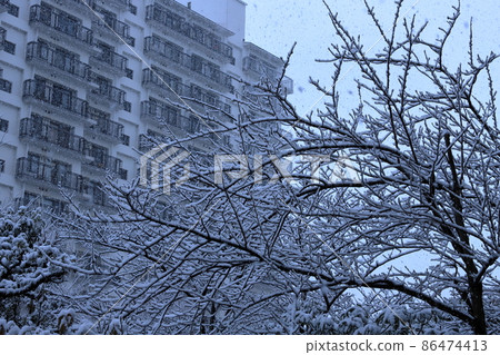 Housing complex planting and snowfall scenery Housing complex planting and snowfall scenery 86474413