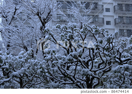 Housing complex planting and snowfall scenery Housing complex planting and snowfall scenery 86474414