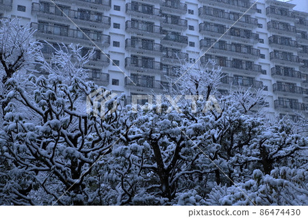 Housing complex planting and snowfall scenery 86474430