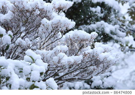 Housing complex planting and snowfall scenery Housing complex planting and snowfall scenery 86474800