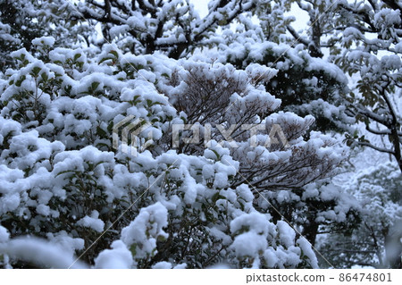 Housing complex planting and snowfall scenery Housing complex planting and snowfall scenery 86474801