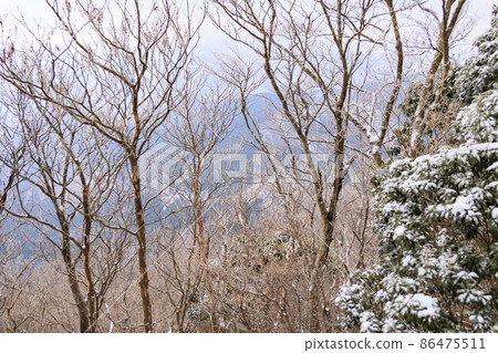 隆冬的高見山登山風景和山頂的白霜 隆冬的高見山登山風景和山頂的白霜 86475511