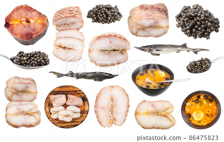 set of various cooked and raw foods from sturgeon set of various cooked and raw foods from sturgeon 86475823