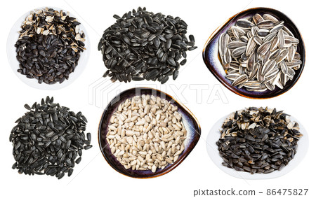 set of various sunflower seeds isolated on white set of various sunflower seeds isolated on white 86475827