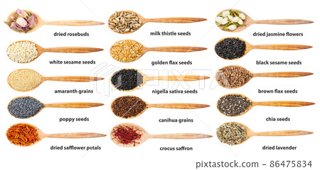 top view of spoon with various seeds with names 86475834