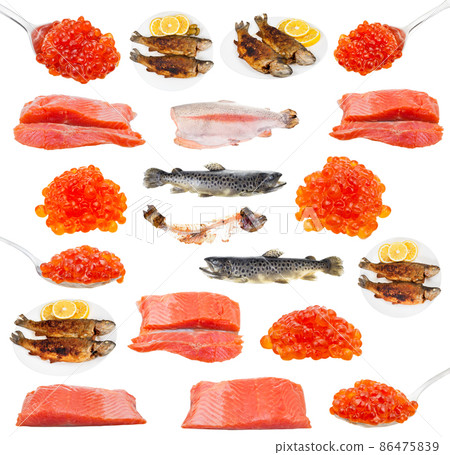 set of various cooked and raw trouts isolated 86475839