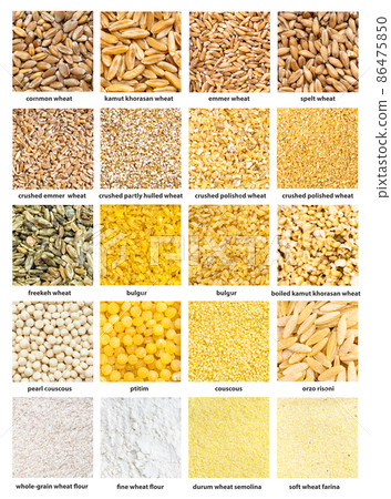 background - various wheat grains with names background - various wheat grains with names 86475850