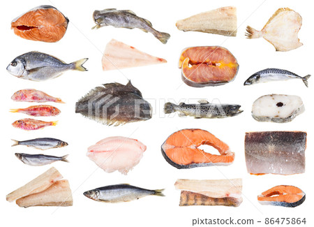 set of various iced fishes and steaks isolated 86475864