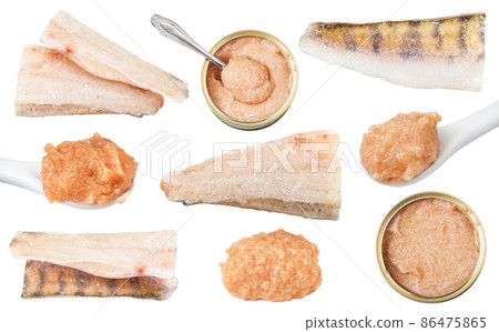 set of various zander fishes isolated on white set of various zander fishes isolated on white 86475865